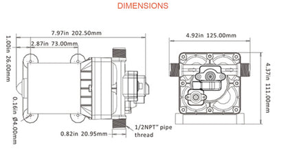 12v/55psi/11.30Ltr Seaflo Series 42 Water Pump - Retail Packed With Fittings