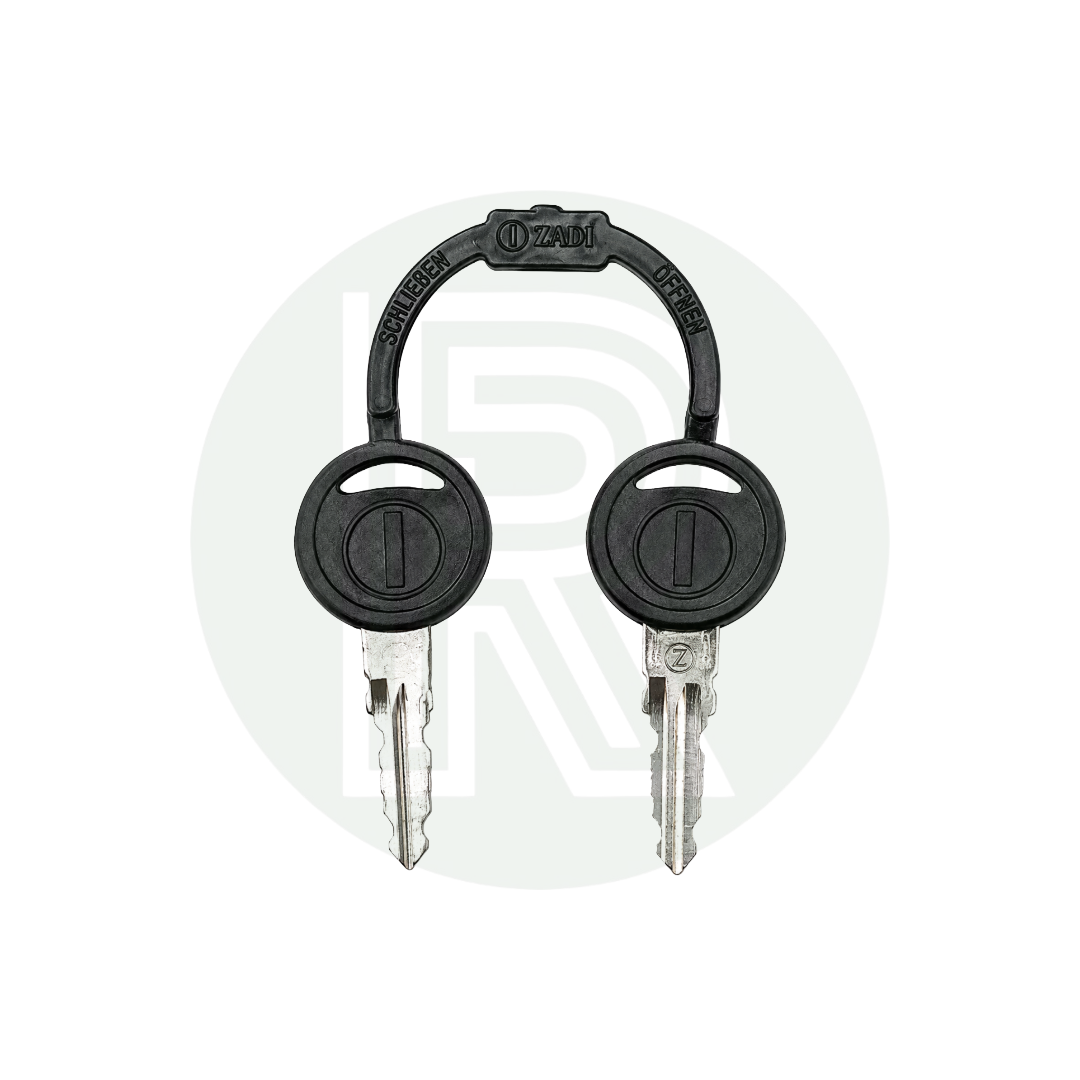 Pair of replacement keys supplied with Zadi Vecam new 9000 Series short tang lock barrel kits